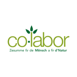 Co-labor